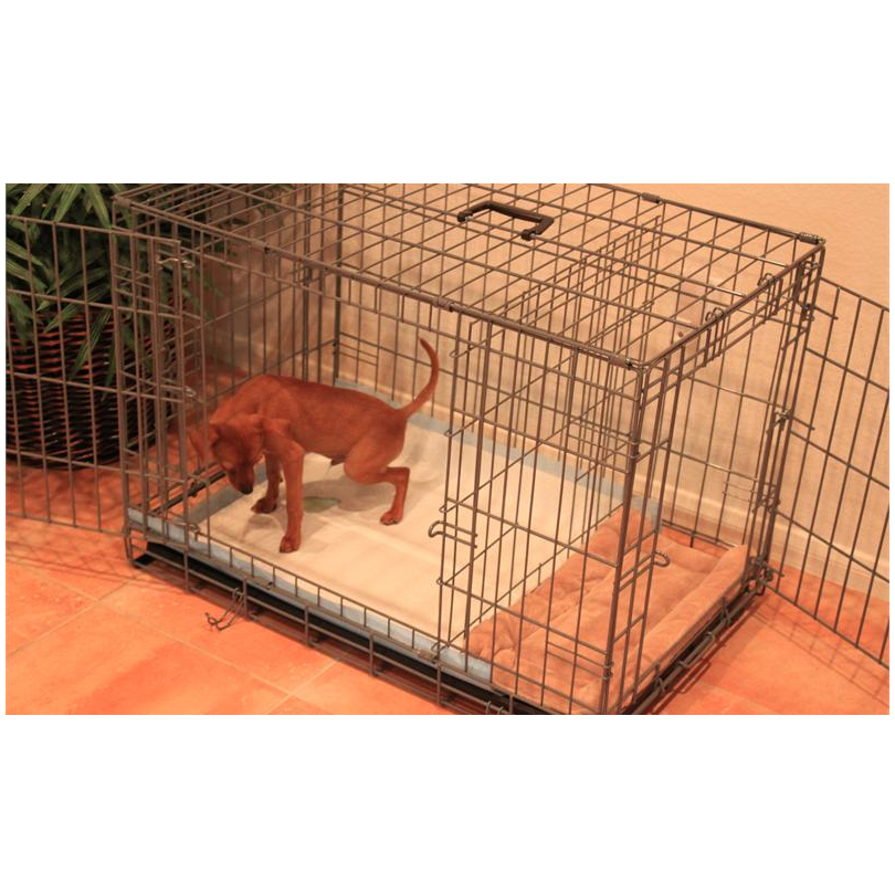 The puppy apartment outlet