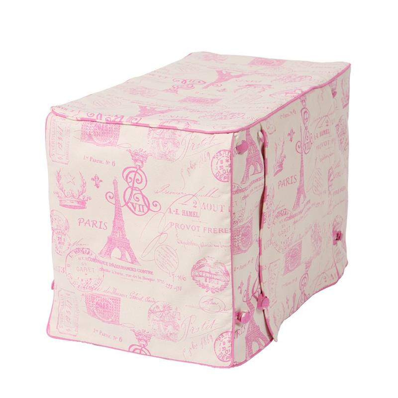 Parisian Pink Cover
