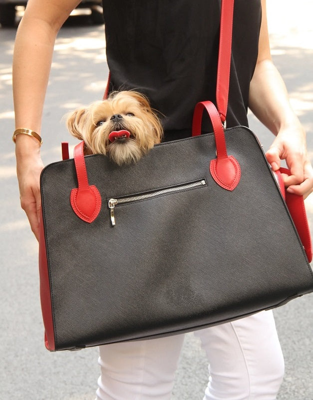 Scarlet Luxury Pet Carrier