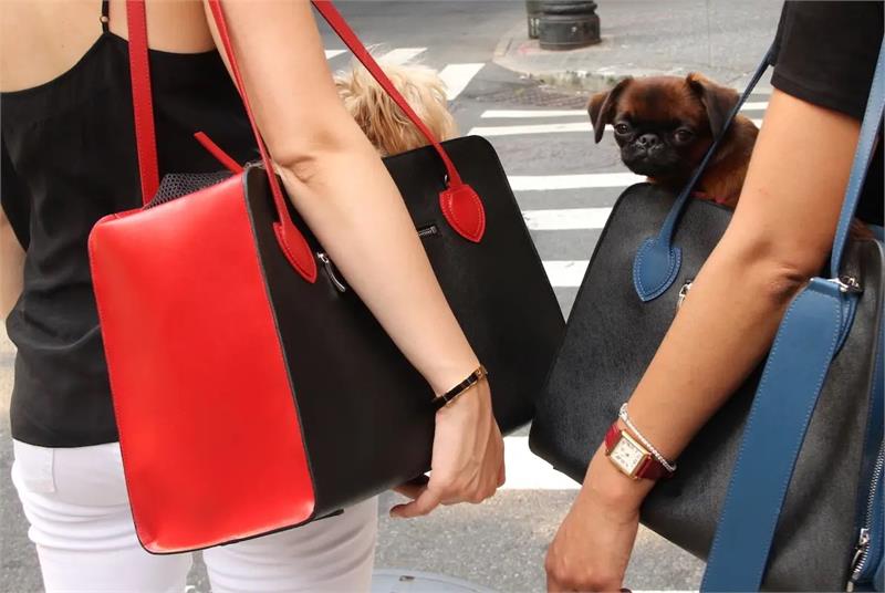 Scarlet Luxury Pet Carrier