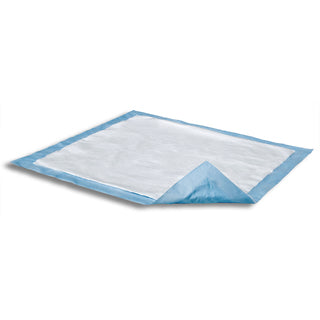 PTPA Potty Pads - Blue