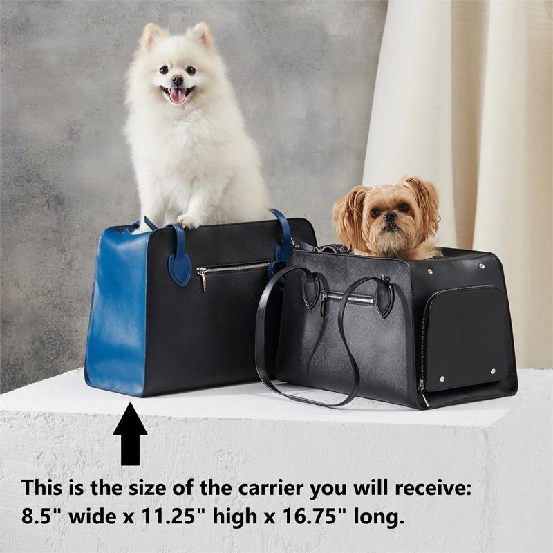 Azure Luxury Pet Carrier