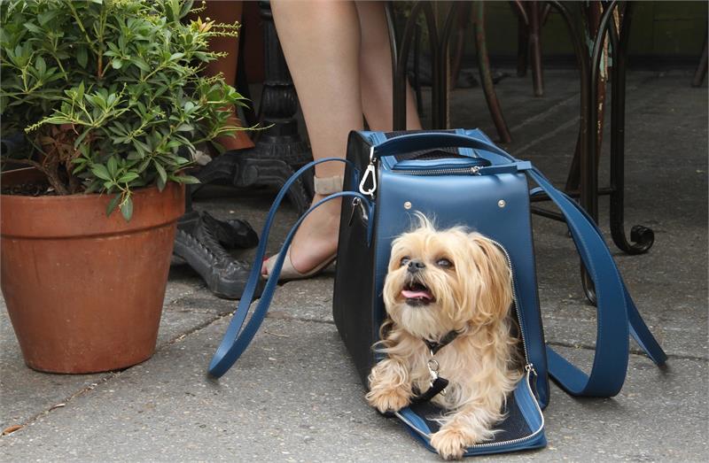 Azure Luxury Pet Carrier