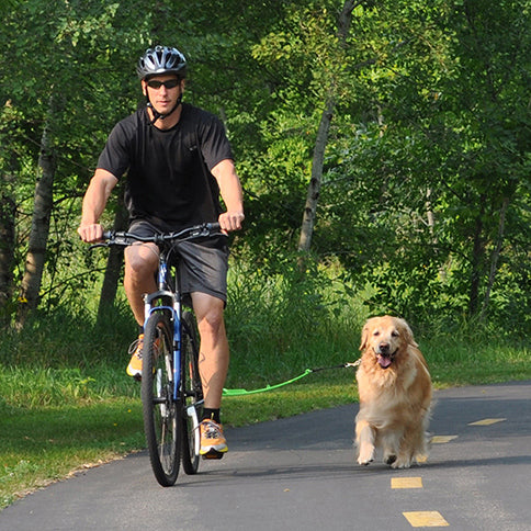 Bike Walker