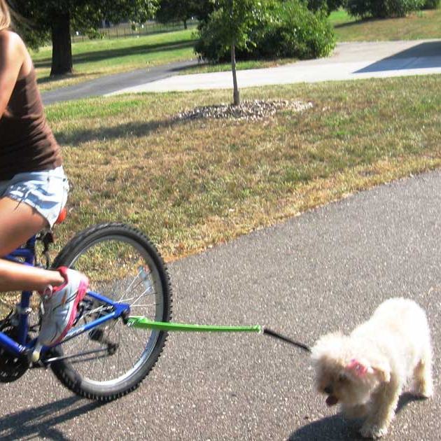 Bike Walker