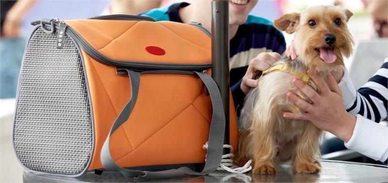 Peach Chic Pet Carrier