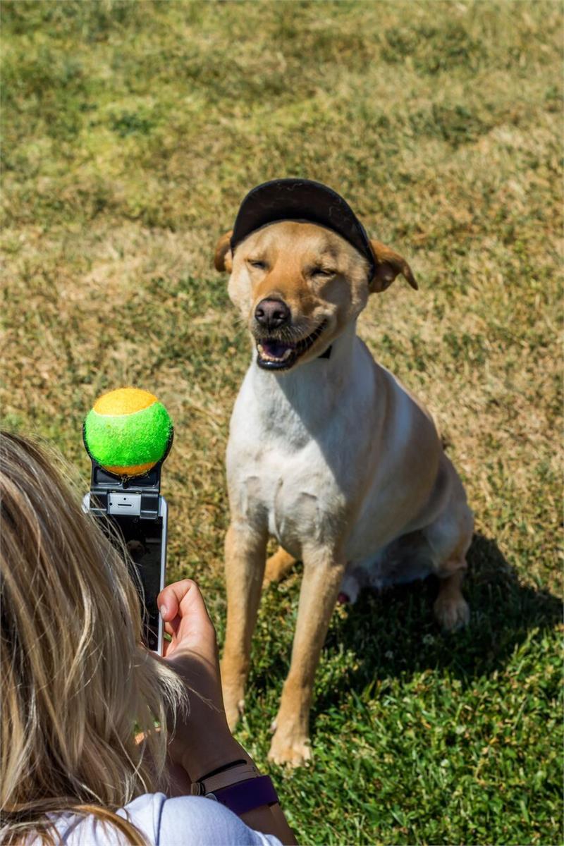 Smiley Ball