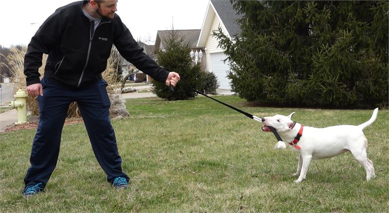 Tug-of-war Game